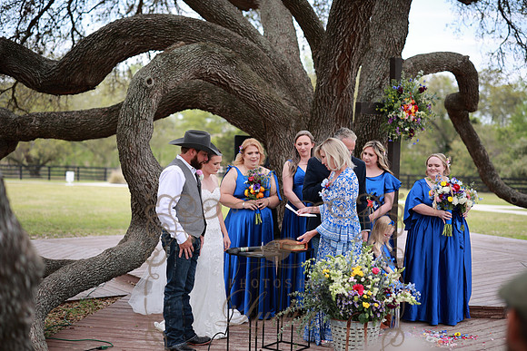 Vows (63)