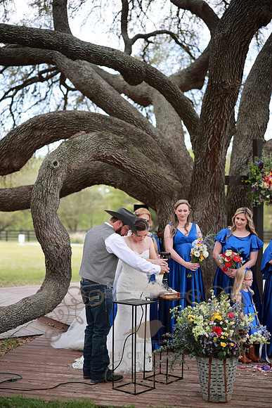 Vows (66)
