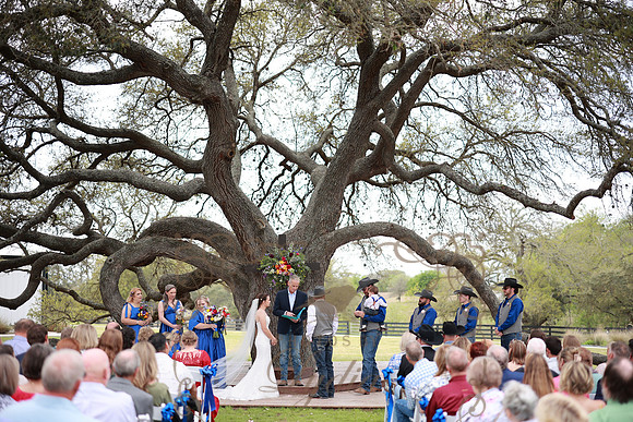 Vows (69)