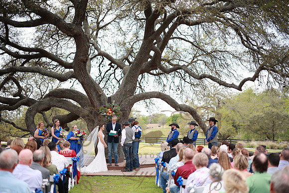 Vows (70)