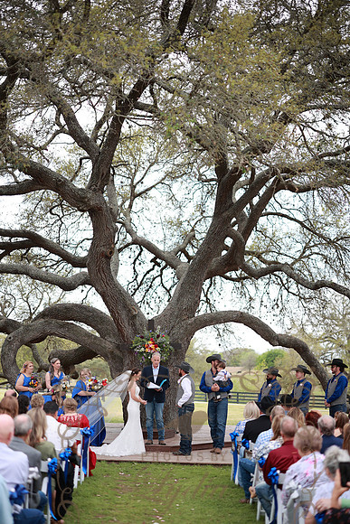 Vows (71)