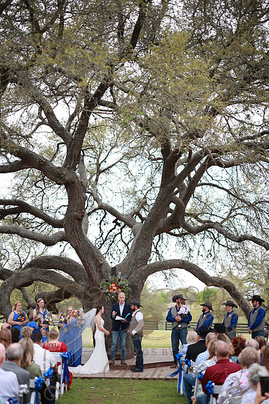 Vows (72)