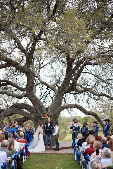 Vows (73)