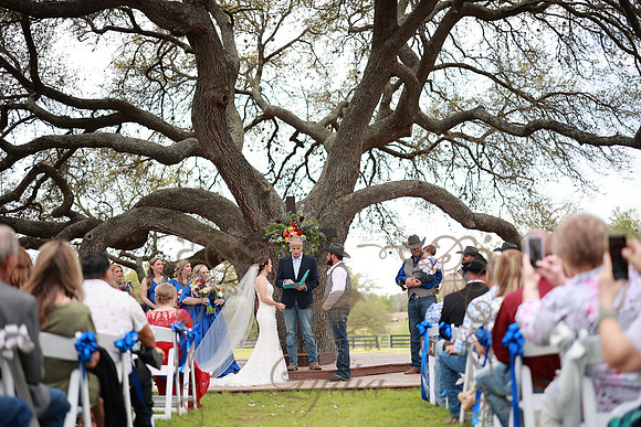 Vows (74)
