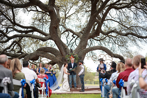 Vows (75)