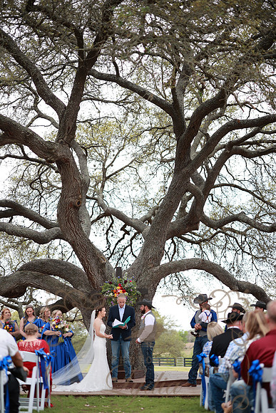 Vows (76)