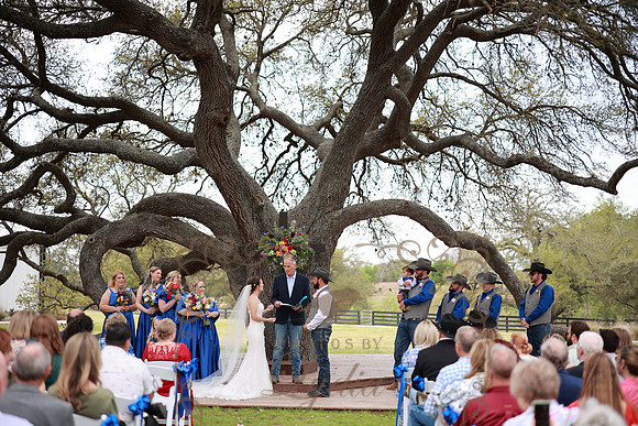 Vows (78)