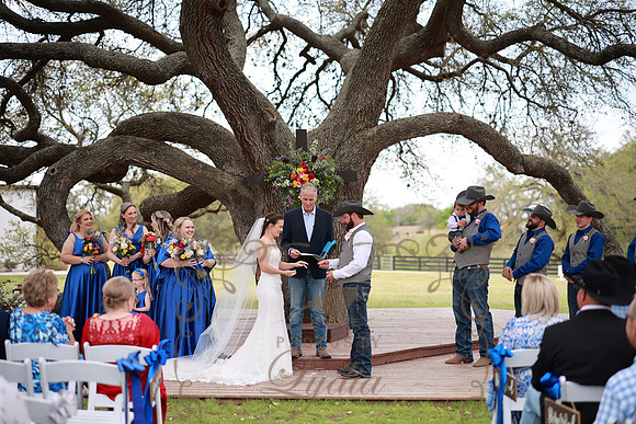 Vows (79)