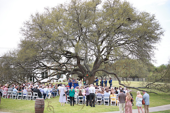 Vows (77)