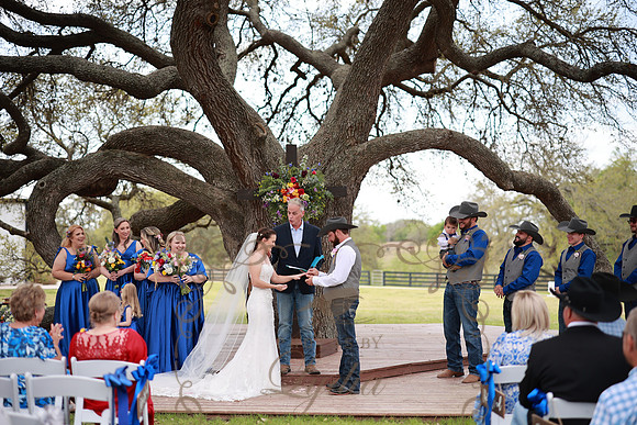 Vows (80)