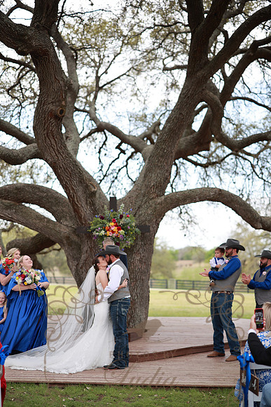 Vows (83)