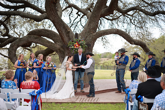 Vows (81)