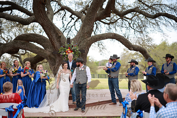 Vows (84)