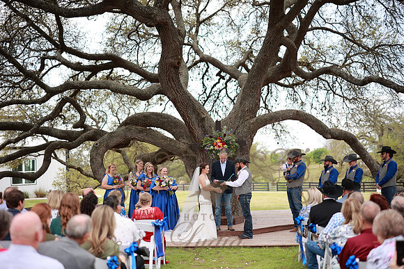 Vows (82)