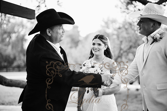 Just Married (3 of 82)