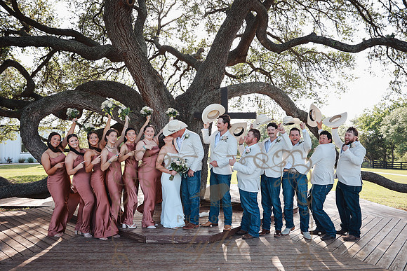 Just Married (43 of 82)