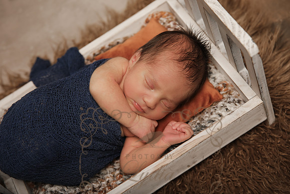 Aiden-0848
