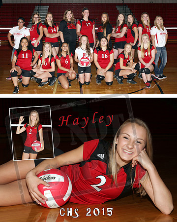 CollageHayley