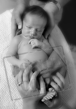 IMG_9857bw