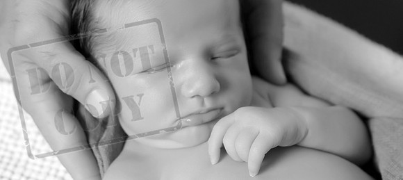 IMG_9859bw