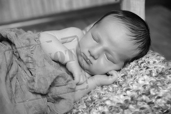 IMG_9936bw