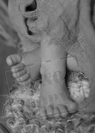 IMG_9938bw