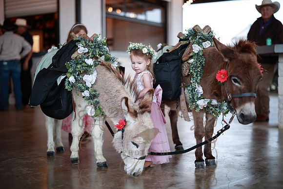 Reception Fun-39