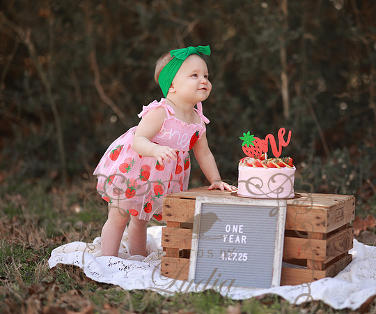 Hollis-48