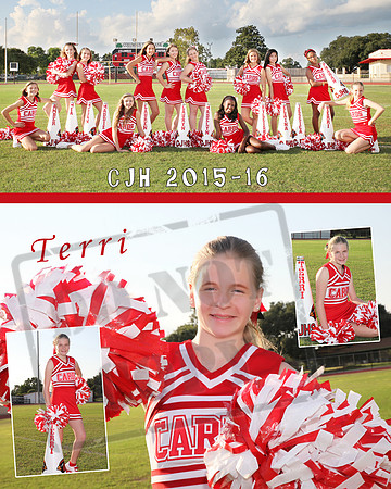 CollageTerri