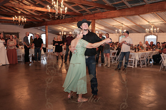 Dances (113)