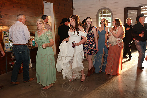 Dances (20)