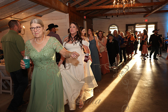 Dances (22)