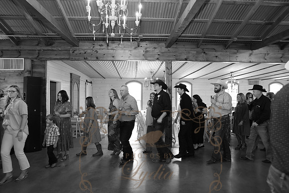 Dances (23)