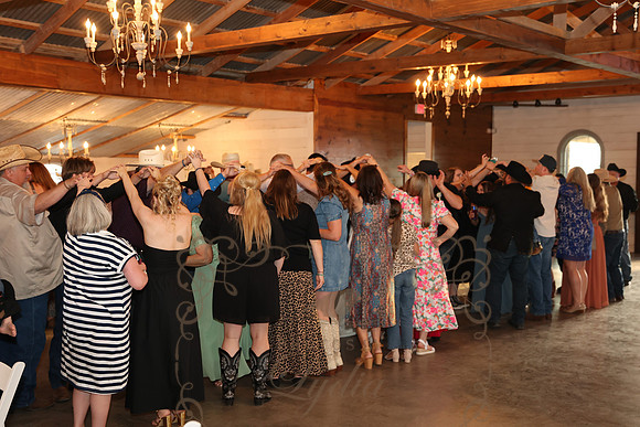 Dances (48)