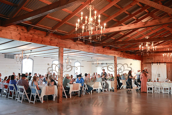 Reception (27)