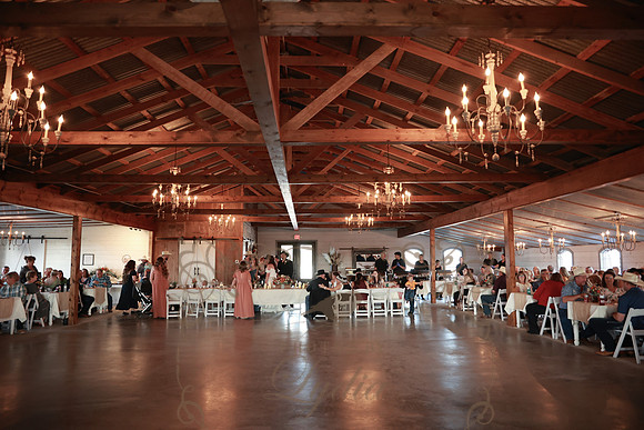 Reception (28)