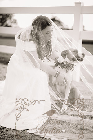 Newlyweds (10)