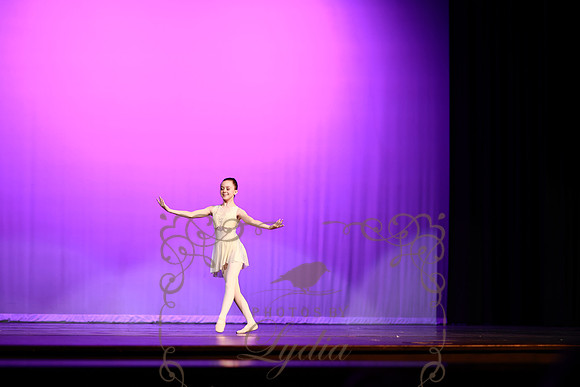 Don Quixote (30)
