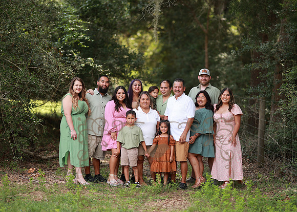 Family-33