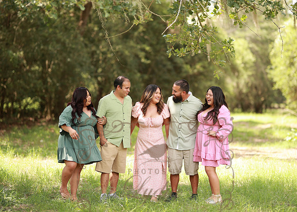 Family-85