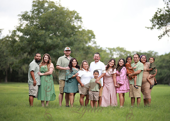 Family-11