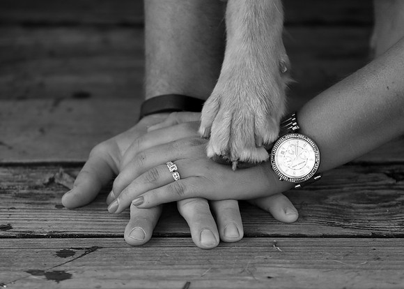 5V3B5789bw