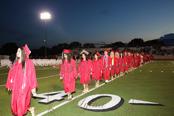 graduation (15)