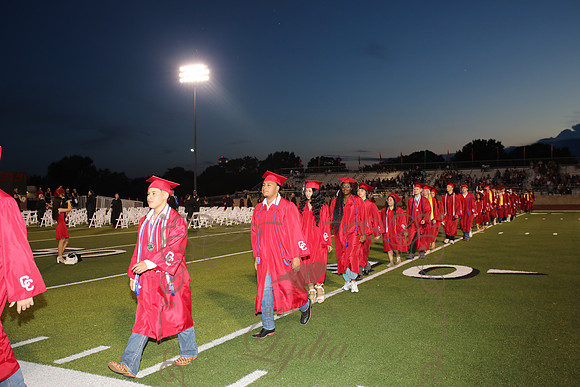graduation (21)