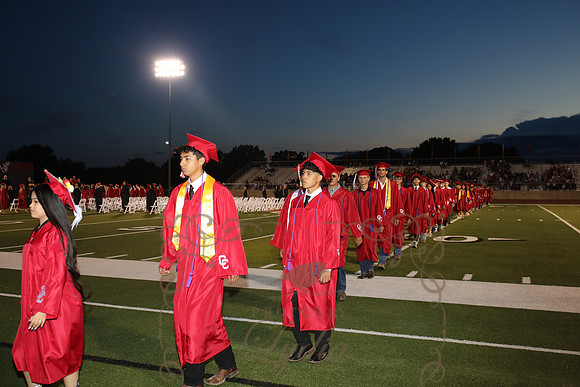 graduation (28)