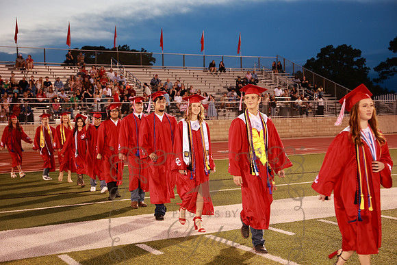 graduation (55)