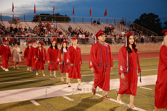 graduation (67)