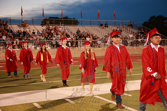 graduation (102)