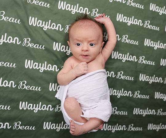 Waylon-40