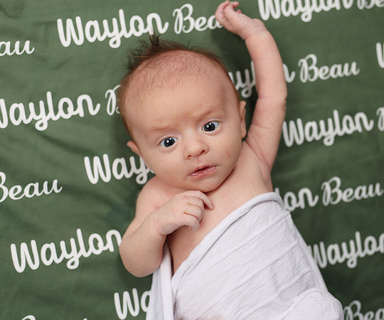 Waylon-38